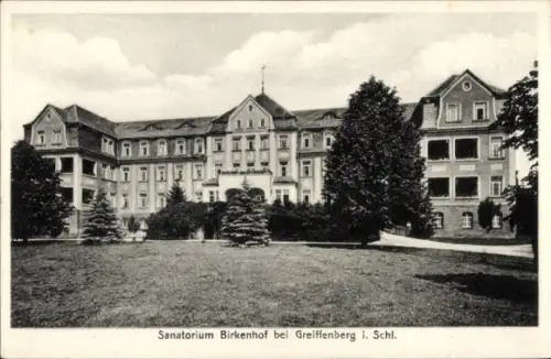 Ak Gryfów Śląski Greiffenberg Schlesien, Sanatorium Birkenhof