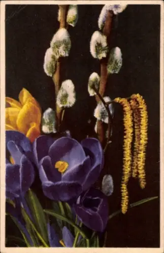 Ak Frühlingsblumen, Weidenkätzchen