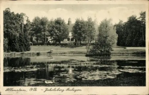 Ak Olsztyn Allenstein Ostpreußen,  Jakobsberg Anlagen, Parklandschaft, Teich, Bäume, Schwäne