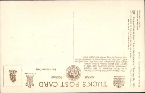 Ak Prince of Wales, the Chief Scout of Wales