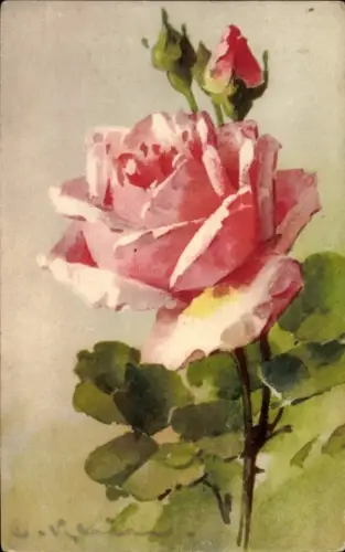 Künstler Ak Klein, Catharina, rosa Rosen
