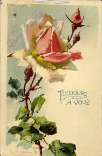 Präge Künstler Litho Klein, Catharina, weiß rosa Rose mit Knospen