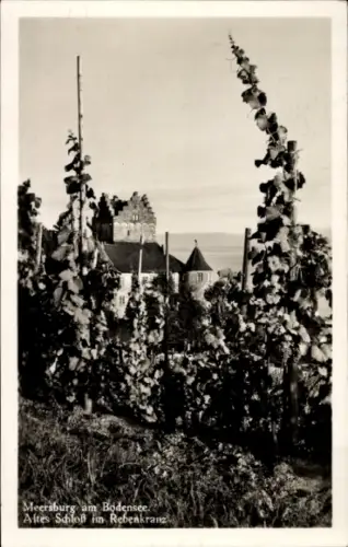 Ak Meersburg am Bodensee, Meersburg am Bodensee, Altes Schloss, Weinreben
