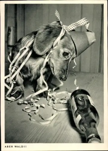 Ak Aber Waldi, Dackel, leere Bierflasche, Luftschlangen