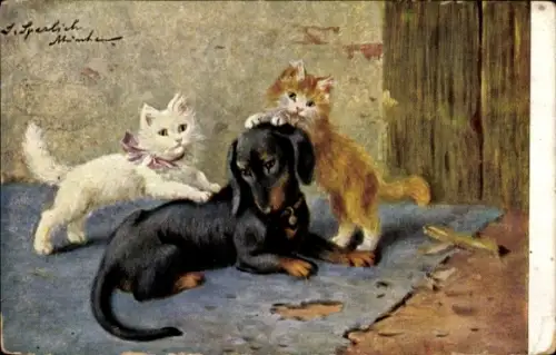 Künstler Ak Sperlich, Katzen spielen mit einem Dackel