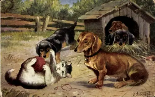 Künstler Ak Dackel, Hundewelpen, Hundehütte, Katze mit Wollknäuel