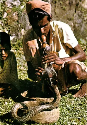Ak Sri Lanka, Schlangenbeschwörer hält eine Kobra in einem Korb