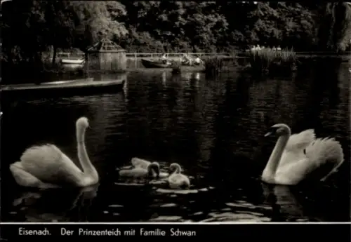 Ak Eisenach, Der Prinzenteich mit Familie Schwan