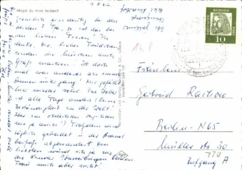 Ak Zwei Möwen, Tierportrait