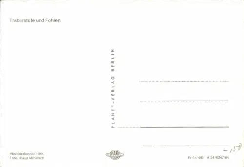 Ak Pferde, Traberstute und Fohlen