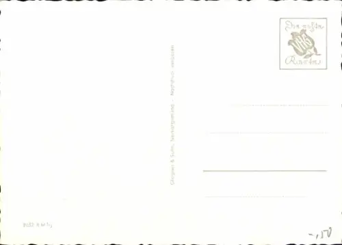 Ak Wildschwein, Tierportrait