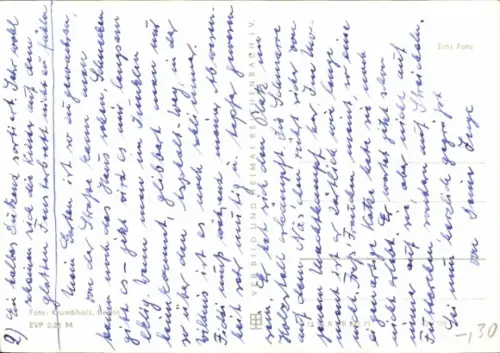 Ak Katzen, Tierportrait