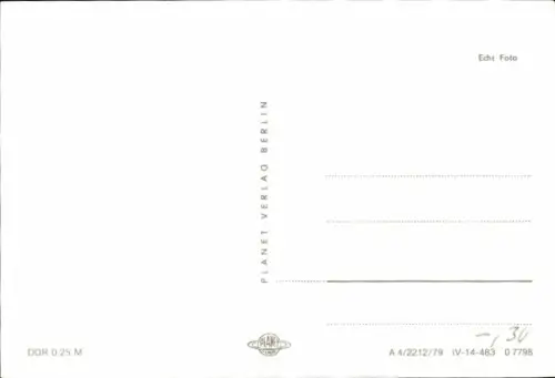 Ak Zwei Katzen, Tierportrait