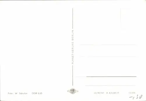 Ak Zwei Katzen, Tierportrait