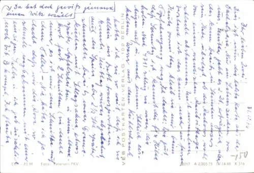 Ak Zwei Hunde, Tierportrait