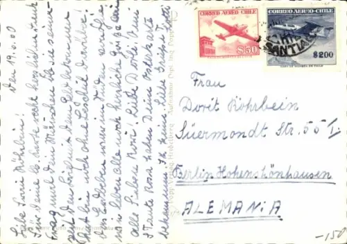 Ak Zwei Katzen, Tierportrait