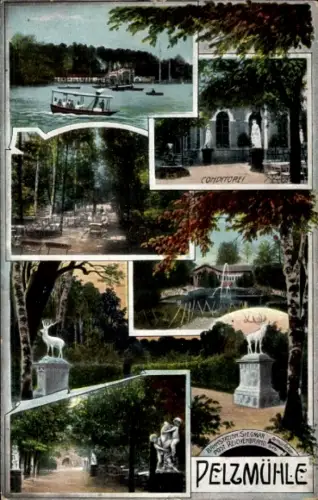 Ak Chemnitz in Sachsen, Pelzmühle, Konditorei