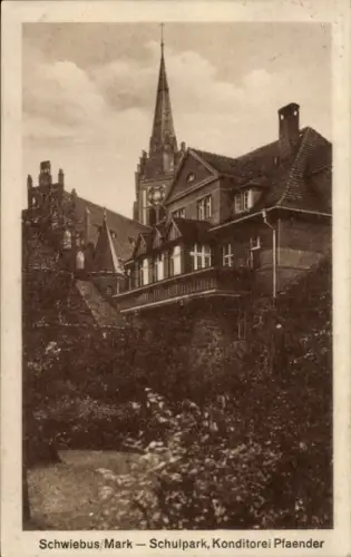 Ak Świebodzin Schwiebus Ostbrandenburg, Schulpark, Konditorei Pfaender