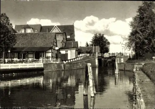 Ak Lübz in Mecklenburg,  Kanalansicht, Häuser, Wasser, Bäume