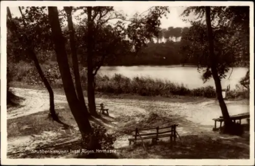 Ak Stubbenkammer Sassnitz auf Rügen, Herthasee