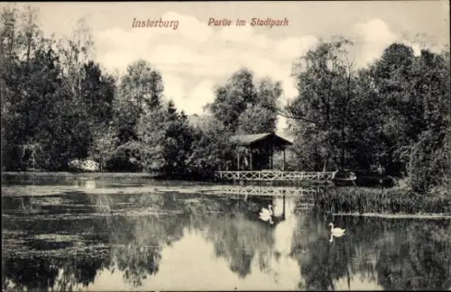 Ak Tschernjachowsk Insterburg Ostpreußen, Stadtpark, Teich
