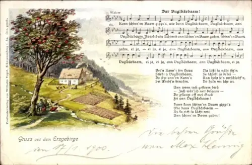 Lied Ak Vogel, Wilhelm, Dar Vuglbärbaam, Landschaftsidylle, Erzgebirge