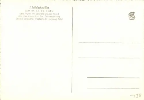 Ak Säbelschnäbler, Tierportrait