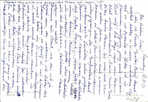 Ak Auerhuhn, Tierportrait