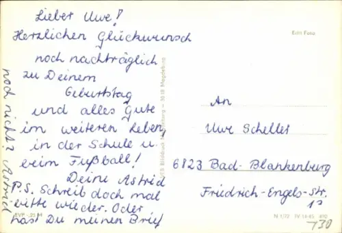 Ak Zwei Katzen, Tierportrait