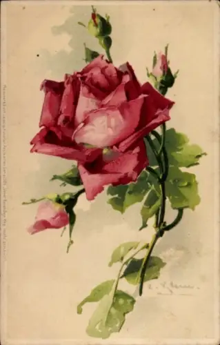 Künstler Ak Klein, Catharina, rote Rose, Blüte, Knospen
