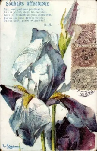 Künstler Ak Klein, Catharina, Iris