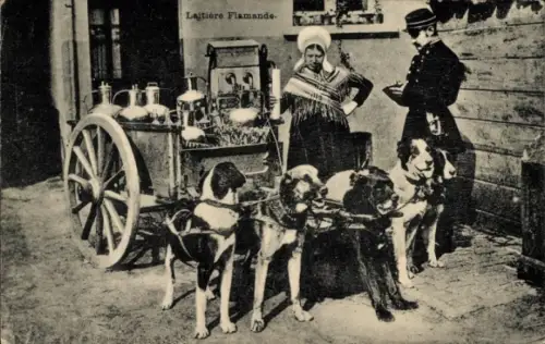 Ak Belgische Tracht, Milchmädchen, Hundekarren, Arbeitshund, Gespräch, Polizist