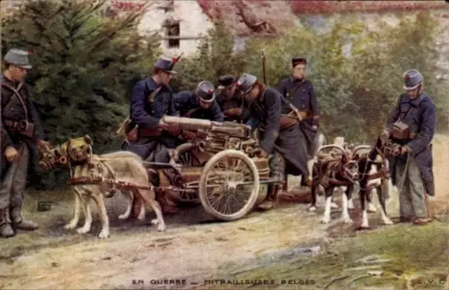 Ak En Guerre, Mitrailleuses Belges, Zughunde, belgische Soldaten, I WK