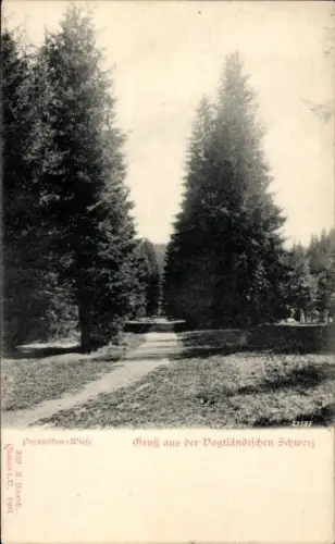 Ak Jocketa Pöhl Vogtland, Pyramidenwiese