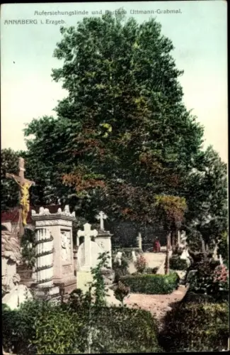 Ak Annaberg Buchholz Erzgebirge, Auferstehungslinde und Barbara Uttmann Grabmal
