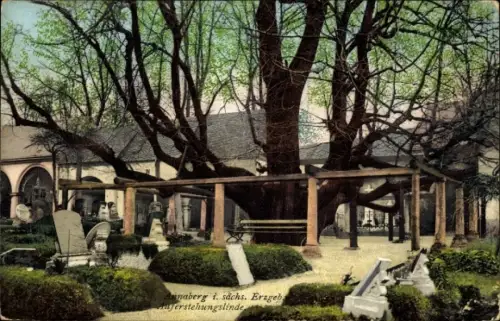 Ak Annaberg Erzgebirge, Auferstehungslinde, Parkanlage, Friedhof, Gräber
