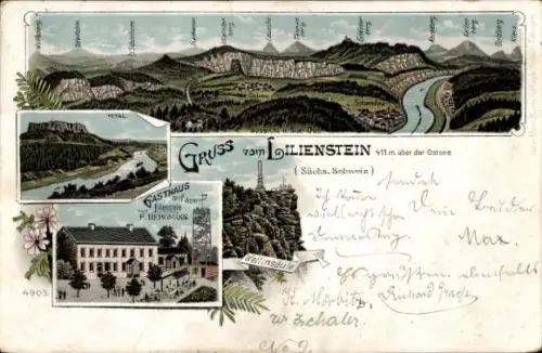 Litho Bad Schandau an der Elbe, Panorama, Gasthaus auf dem Lilienstein, Bes. F. Bergmann