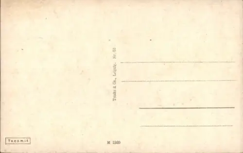 Ak Anklam in Mecklenburg Vorpommern, Steintor