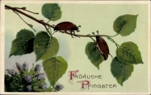 Ak Glückwunsch Pfingsten, Maikäfer