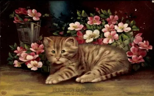 Ak Glückwunsch Geburtstag, Katze, Blumen