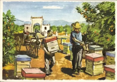 Künstler Ak Bienenzucht in aller Welt, Spanische Imker in den Orangenhainen um Valencia