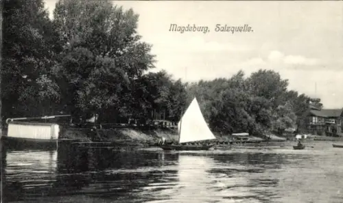 Ak Magdeburg an der Elbe, Salzquelle