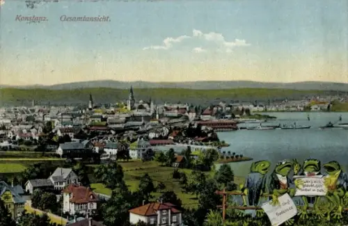 Ak Konstanz am Bodensee, Gesamtansicht von  Bodensee, Frösche mit Schildern