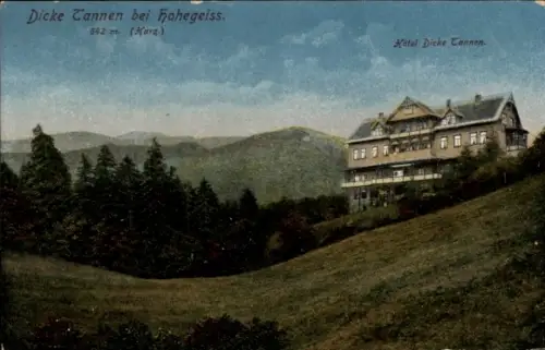 Ak Hohegeiß Braunlage im Oberharz, Hotel Dicke Tannen