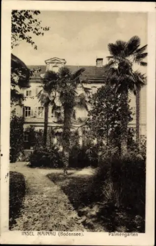 Ak Insel Mainau im Bodensee,  Bodensee, Palmengarten
