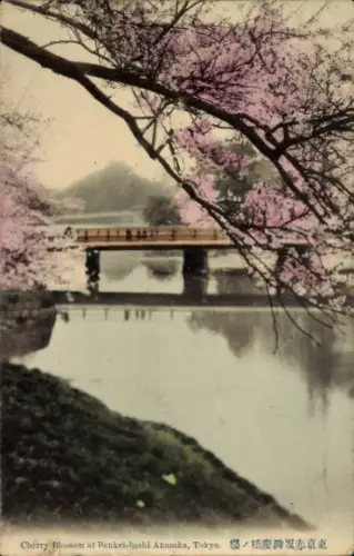 Ak Tokyo Tokio Japan, Kirschblüten, Brücke, Wasser, Tokyo