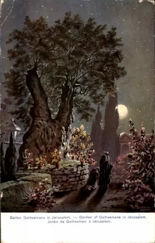 Mondschein Künstler Ak Jerusalem Israel, Garten Gethsemane