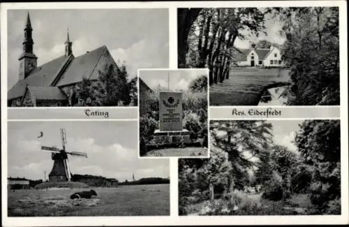 Ak Tating in Nordfriesland, Kirche, Kriegerdenkmal, Windmühle