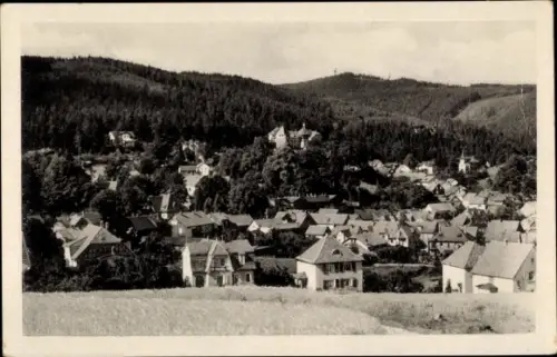 Ak Elgersburg in Thüringen, Teilansicht