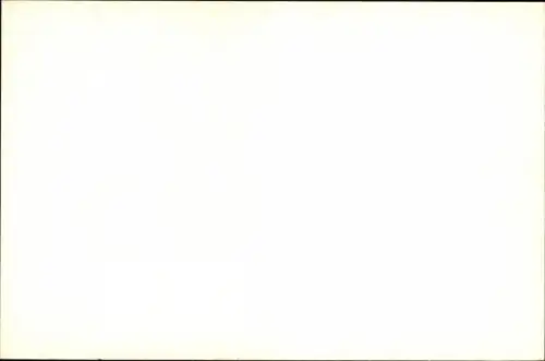 Foto Ak Rothaarige Frau in Leoparden-Unterwäsche, Busen